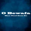 About O Bewafa Man Chod Deni Re Song