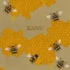 Kanu (Instrumental)