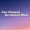 About Gor Chaleni Sevalalere Bina Song