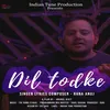 About Dil Todke Song