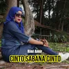 Cinto Sabana Cinto