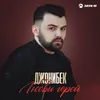 About Любви герой Song