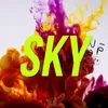 About SKY Song