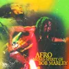 Three little birds Afro Moses & The Spirit of Bob Marley