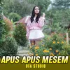 Apus Apus Mesem