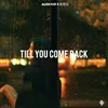 About Till You Come Back Song