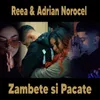 About Zambete si Pacate Song