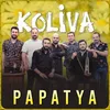 About Papatya Akustik Song