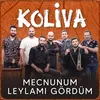 Mecnunum Leylamı Gördüm Akustik