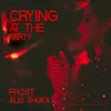 About Crying At The Party Song