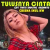 About Tulusnya Cinta Song