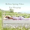 Mellow Spring Moods