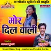 About Mor Dil Wali Chhattisgarhi Geet Song