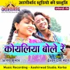 About Koyaliya Bole Re Chhattisgarhi Geet Song