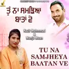 About Tu Na Samjheya Baatan Ve Song