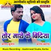 About Tor Mathe Ke Bindiya Chhattisgarhi Geet Song