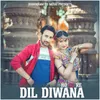 About Dil Diwana Ho Ge Re Song