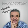 About İstanbulu Seviyorum Song