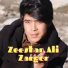 About Zeeshan Ali Zarger Remix Song