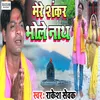 About Mere Shankar Bholenath Song