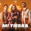 About Mi Tierra Extended Mix Song