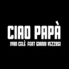 About Ciao papà Song