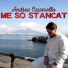 About Me so stancat Song