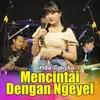 About Mencintai Dengan Ngeyel Song