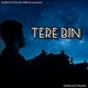 Tere Bin