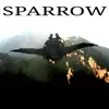 About Sparrow Song