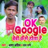 About Ok Google Baby Kaise Hota He Song