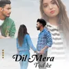 About DIL MERA TOD KE Song