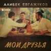 About Мои друзья Song