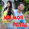 About Hai Mor Payal Song