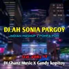 DJ AH SONIA PARGOY Indian Mashup