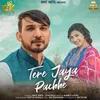 About Tere Jaya Pachhe Song