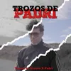 About Trozos de Padri Song