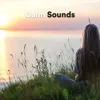 Relaxing Music Deep Sleep