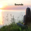 About Relaxing Music To Sleep To Song
