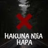 About Hakuna Njia Hapa Song