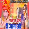 About Pankaj Bana Ri Jan Chade Song