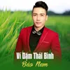 About Ví Dặm Thái Bình Song