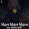 About Vithal Vithal Vithala Song