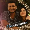 About Nuvvevare Song