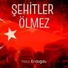 Şehitler Ölmez Şiir