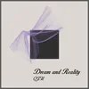 About Dream and Reality Song