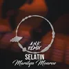 About Marilyn Monroe A.N.K Remix Song