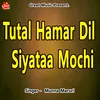 About Tutal Hamar Dil Siyataa Mochi Song