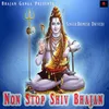 About Non Stop Shiv Bhajan Song