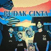 Budak cinta